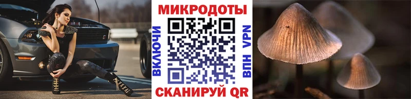 где купить   Тайга  Галлюциногенные грибы Cubensis 